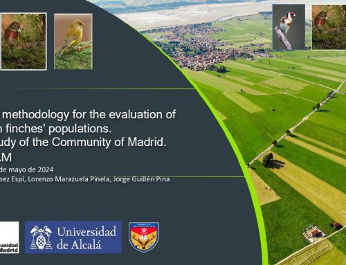 Specific methodology for the evaluation of common finches’ populations. Case study of the Community of Madrid. SEFRICAM